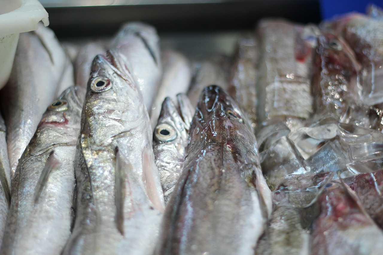 Balık Sağlığı ve Besin Değerleri